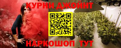 ГАЛЛЮЦИНОГЕННЫЕ ГРИБЫ Новозыбков