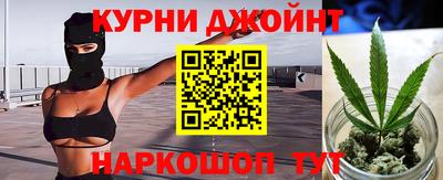 ГАЛЛЮЦИНОГЕННЫЕ ГРИБЫ Новозыбков