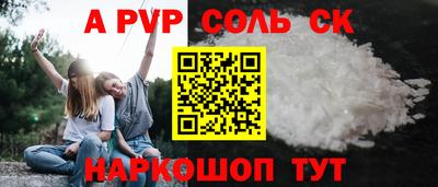 соль ск Новодвинск