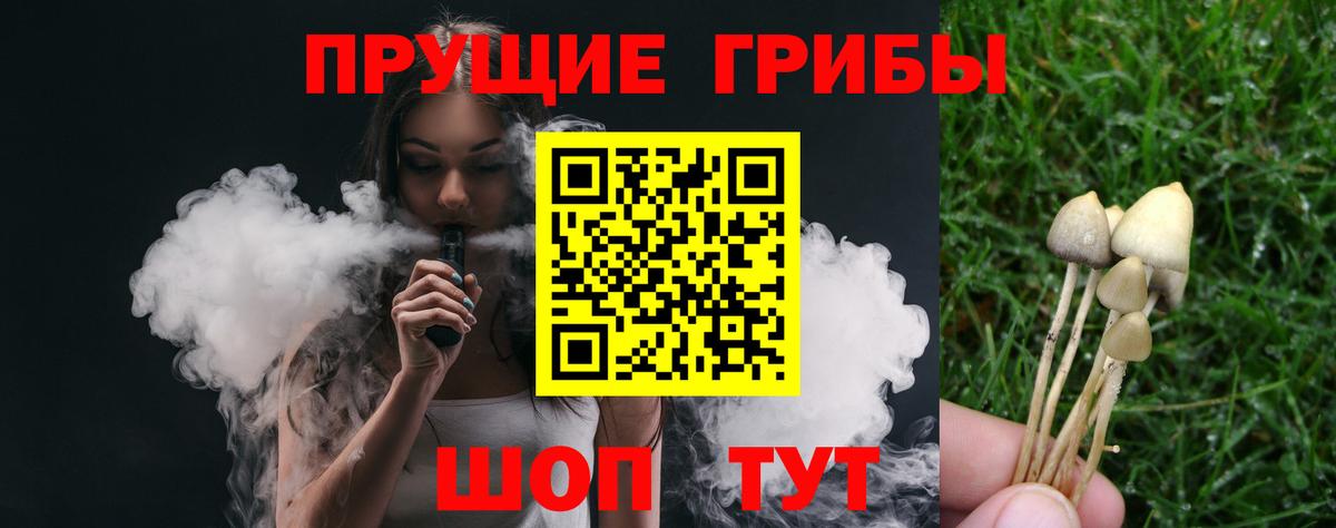 Галлюциногенные грибы MAGIC MUSHROOMS Элиста