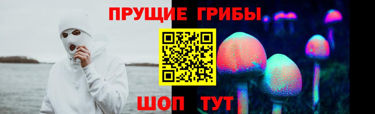Галлюциногенные грибы мухоморы  Псилоцибиновые грибы Psilocybine cubensis  Элиста  наркошоп  Вход с VPN 